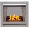 Bluegrass Living Vent Free Stainless Outdoor Gas Fireplace Insert With Reflective BL450SS-G-RCO